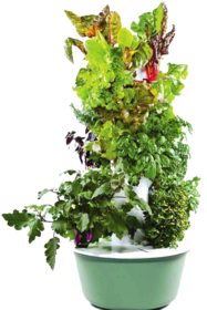 a9993e4bed954d85e0b168fc_187x280