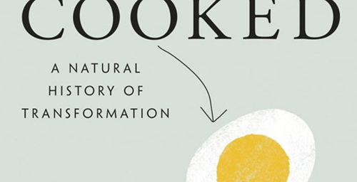 A Natural History of Transformation