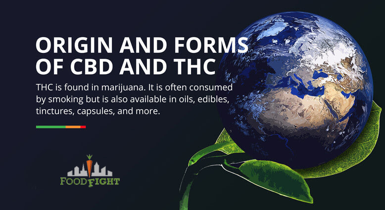 Origin and Forms of CBD and THC