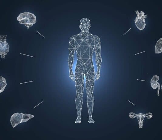 Human Body Facts