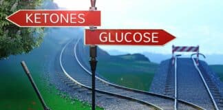 Ketones and Diabetes