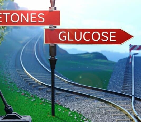 Ketones and Diabetes