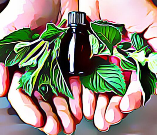 The Benefits of Peppermint Oil