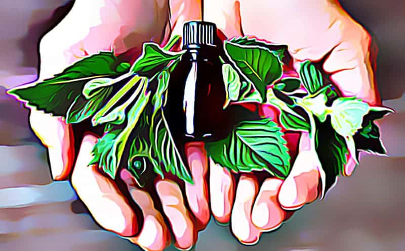 The Benefits of Peppermint Oil