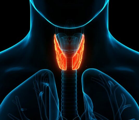 Endocrine System