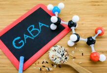 GABA (gamma aminobutyric acid)