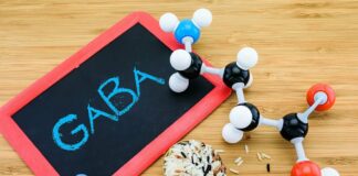 GABA (gamma aminobutyric acid)