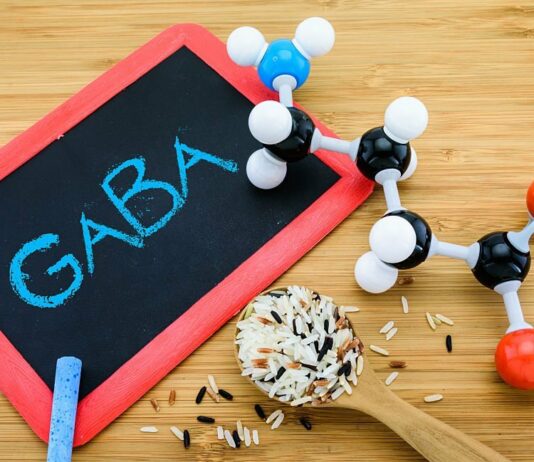 GABA (gamma aminobutyric acid)