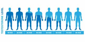 Testosterone Levels by Age